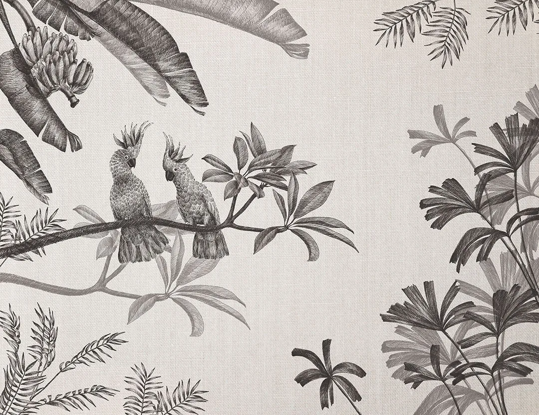 Sophisticated illustrated black tropical plants and parrots wall mural
