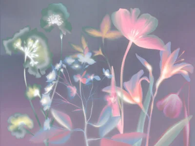 Colorful flowers wall mural with purple X-ray effect