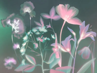 Colorful flowers wall mural with green X-ray effect