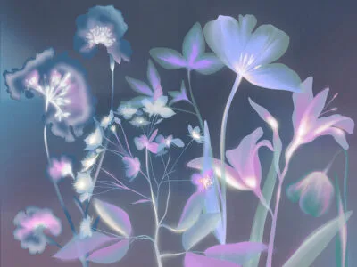 Colorful flowers wall mural with blue X-ray effect