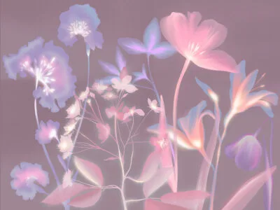 Colorful flowers wall mural with pink X-ray effect