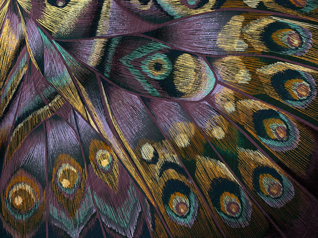 Bright butterfly wing imprint wall mural
