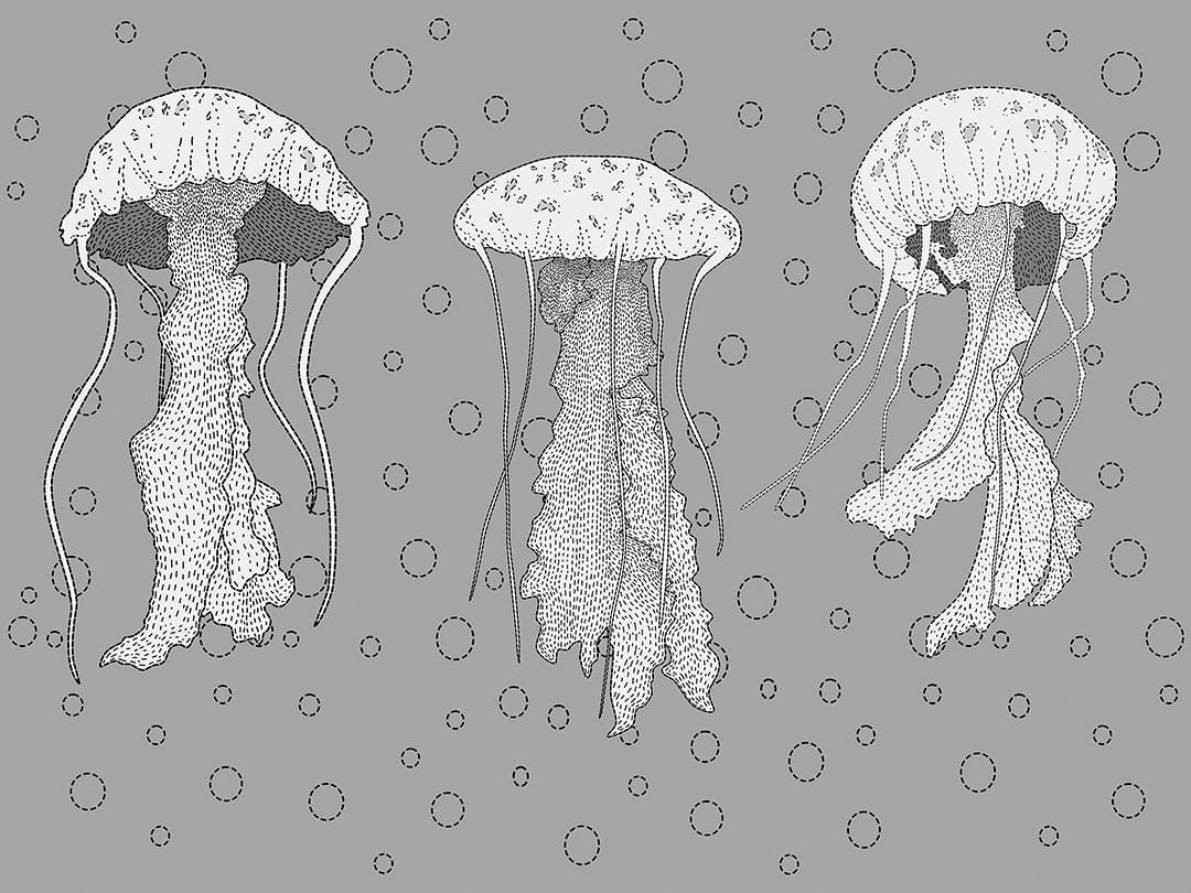 Line work jellyfish wall mural with water bubbles on the gray background