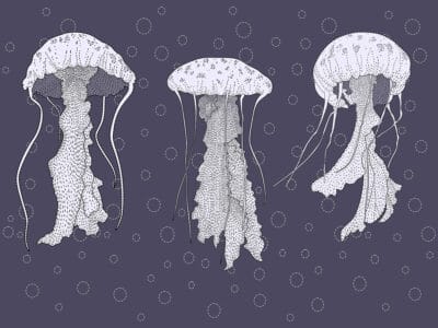 Line work jellyfish wall mural with water bubbles on the blue background