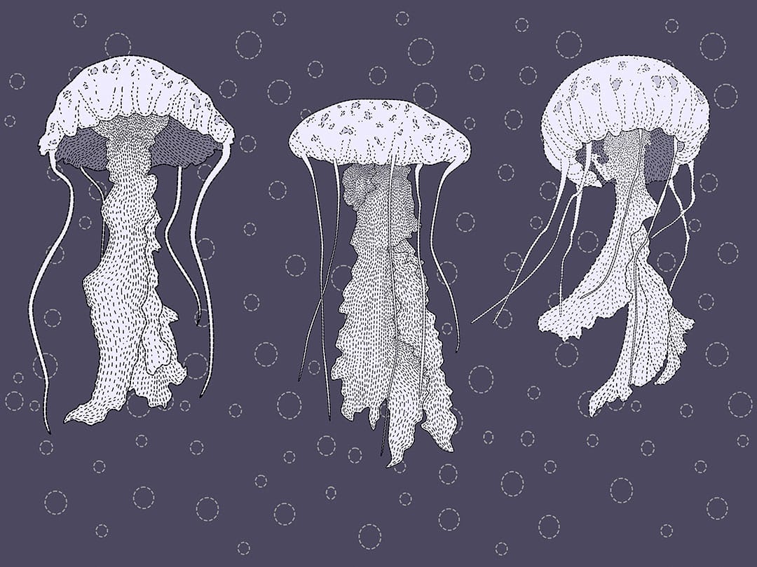 Line work jellyfish wall mural with water bubbles on the blue background