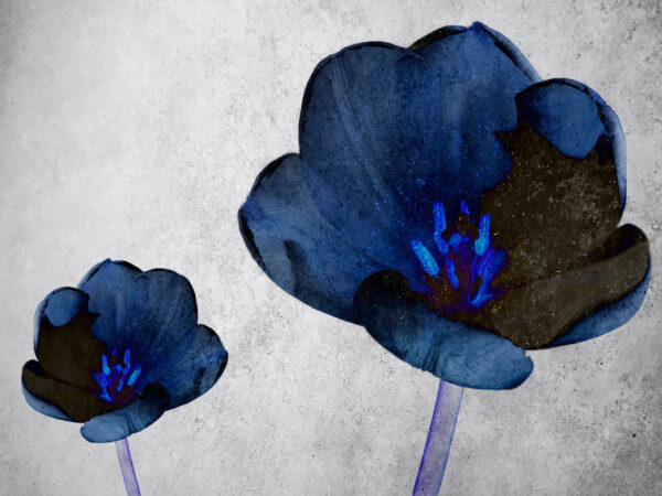 Neon-blue violet flowers on a concrete background wall mural