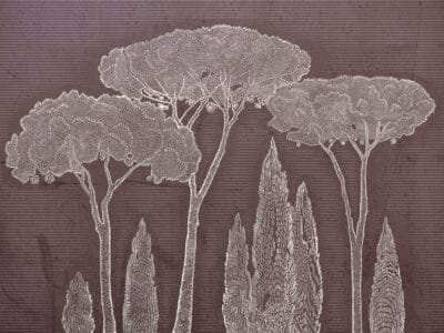 Illustrated white Mediterranean cypress and stone pine trees wall mural