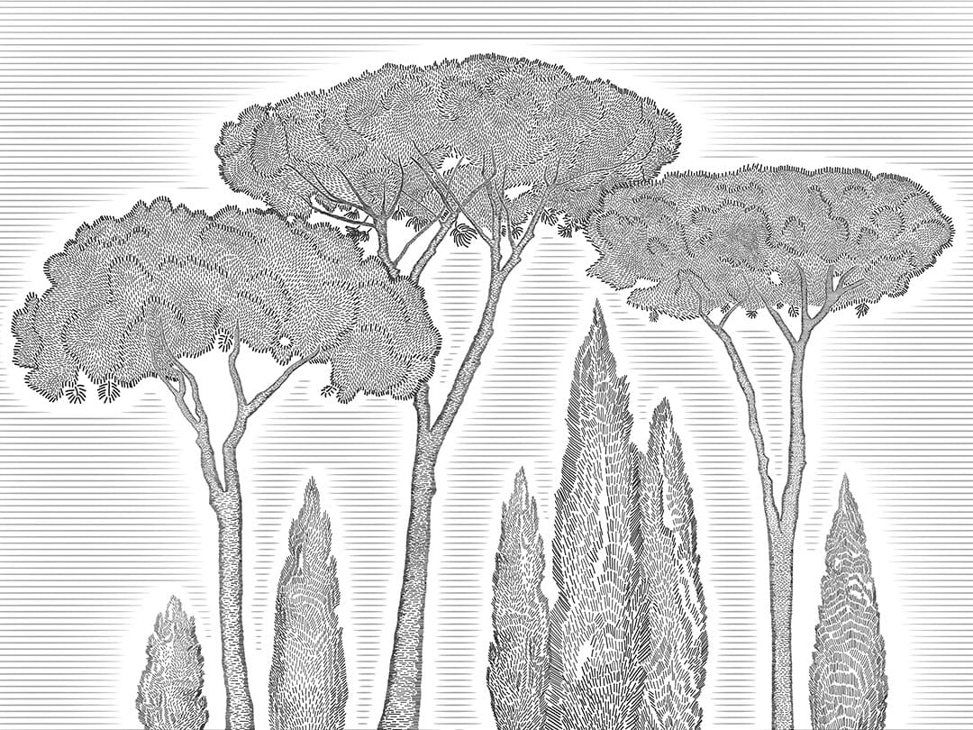 Illustrated black Mediterranean cypress and stone pine trees wall mural