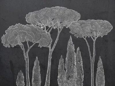 Nature wall mural with Italian cypress and stone pine trees on the dark background