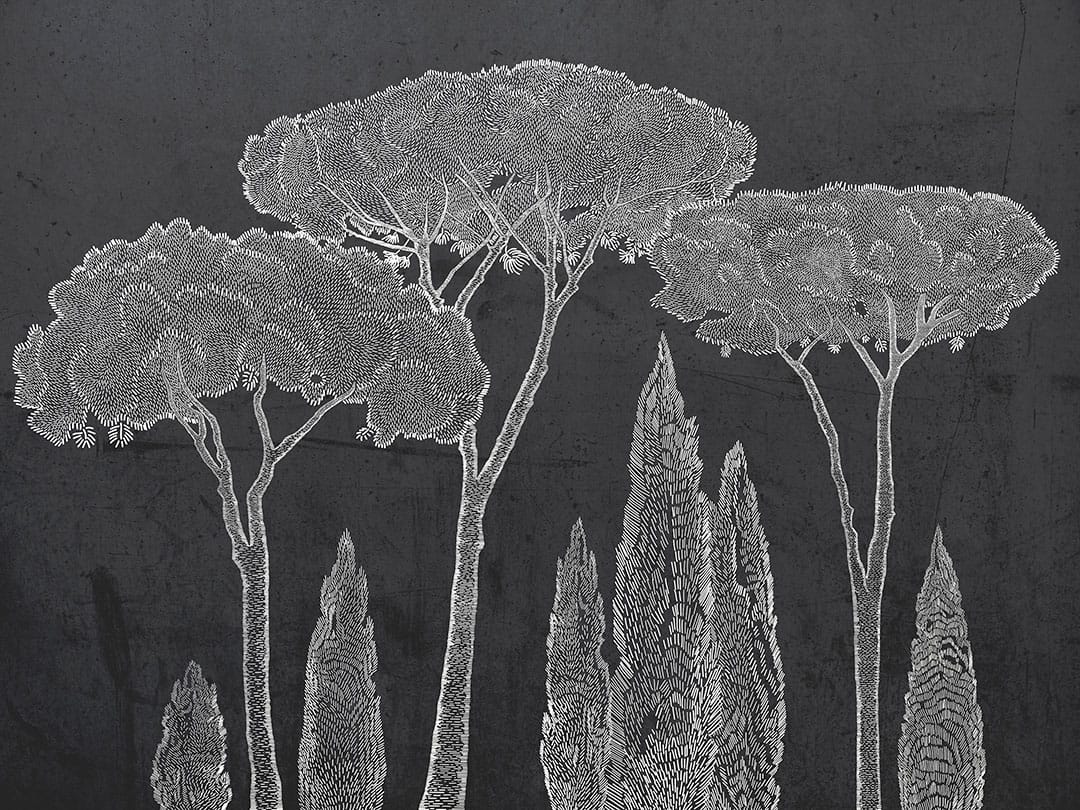 Nature wall mural with Italian cypress and stone pine trees on the dark background