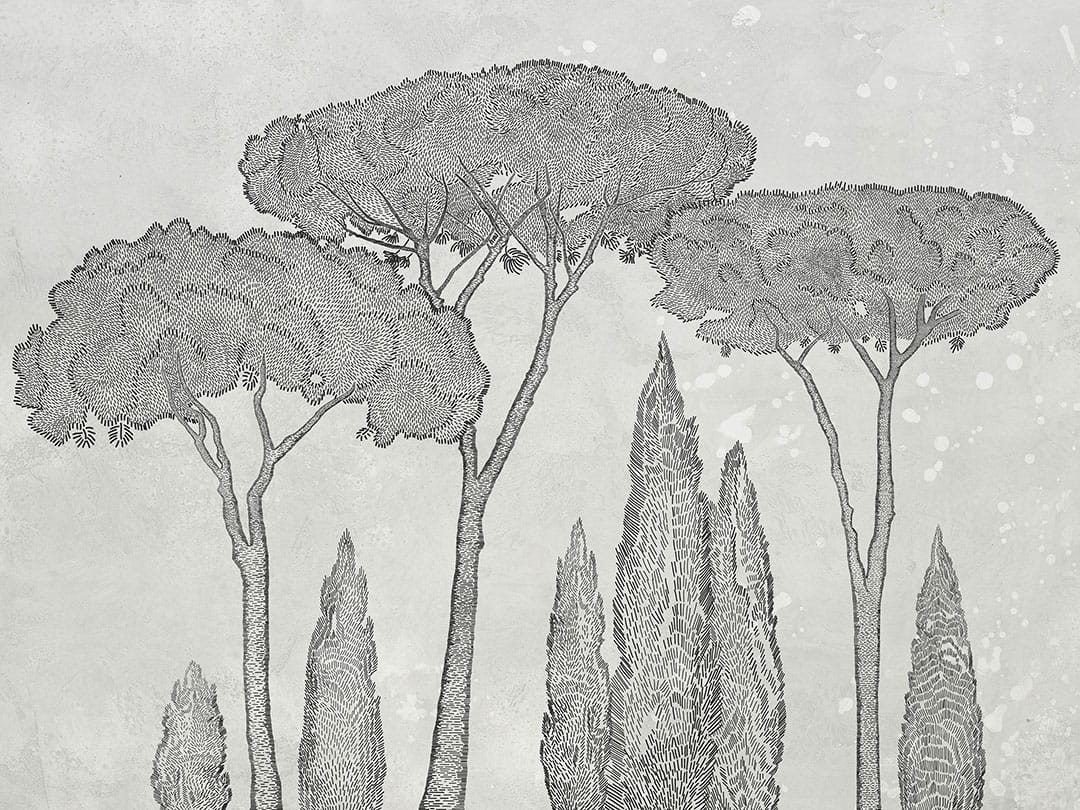 Nature wall mural with Italian cypress and stone pine trees on the light background