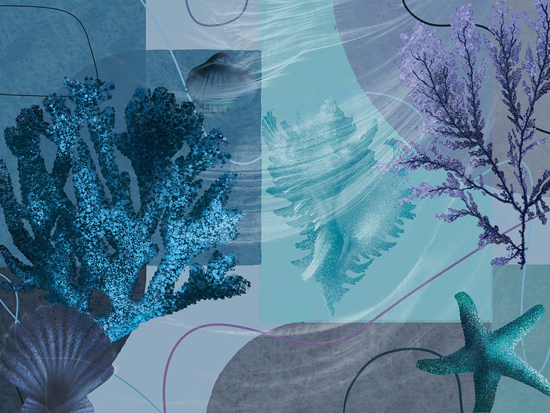 Blue geometric wall mural with oversized seashells and corals
