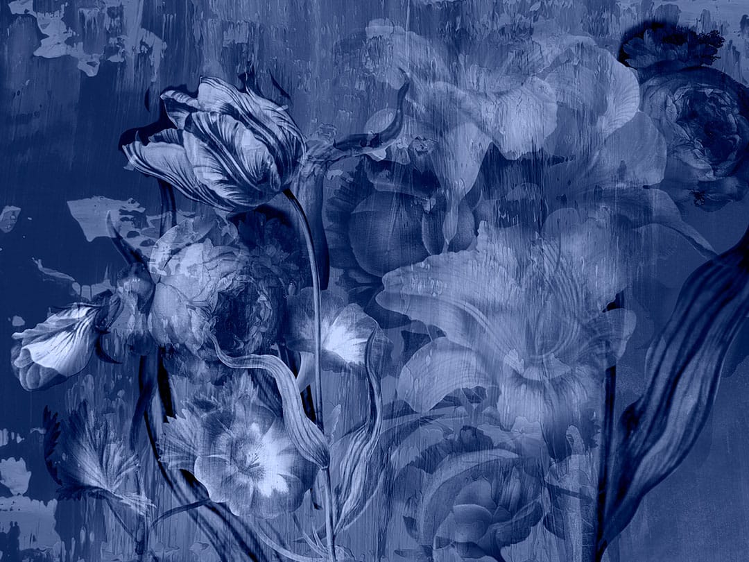 Moody blue floral wall mural with large roses and peonies