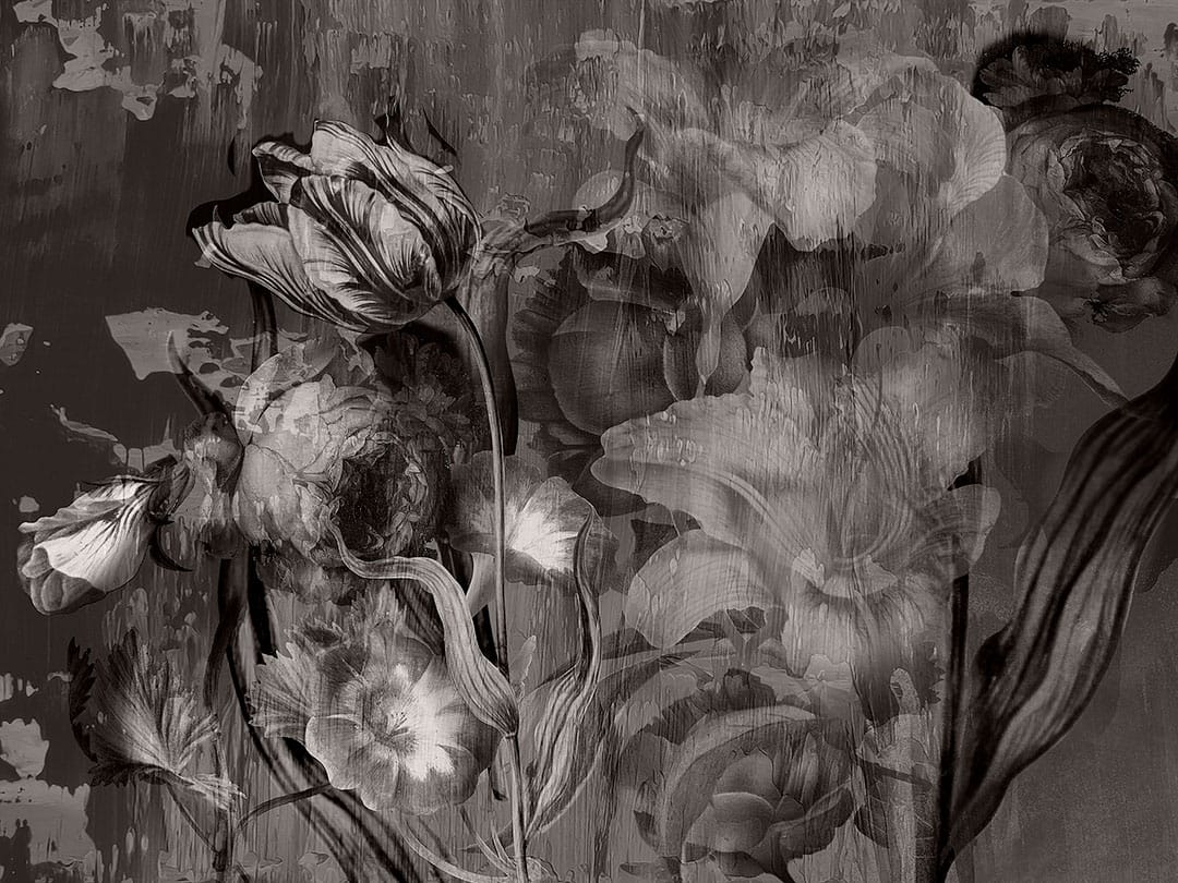 Moody floral black and white wall mural with large roses and peonies