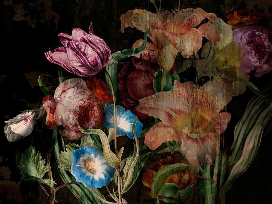 Moody floral wall mural with large dark roses and peonies