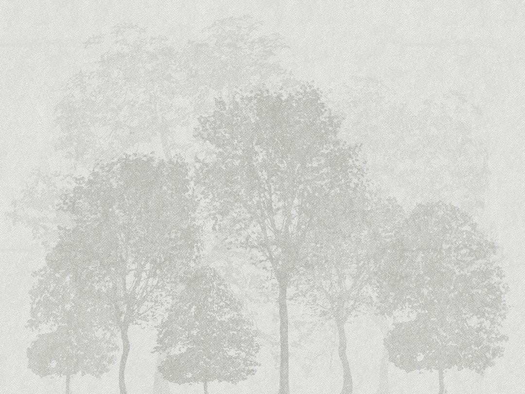 Minimalistic gray etched forest wall mural
