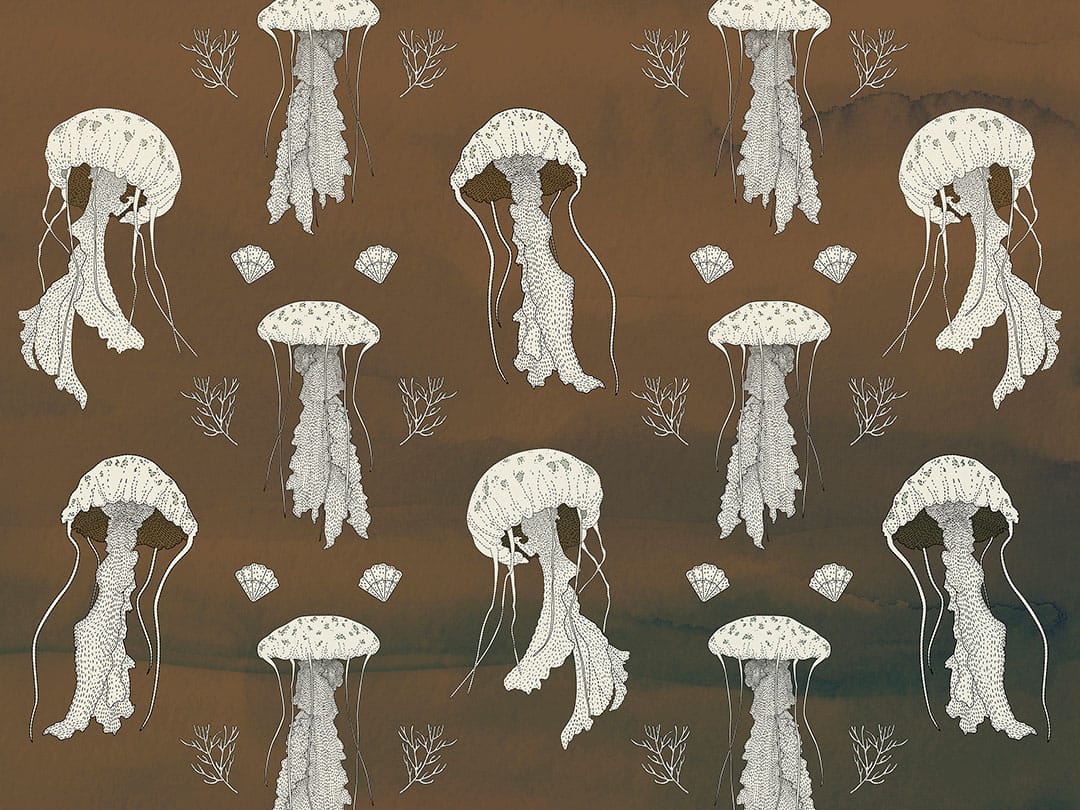 Jellyfish and seashells patterned wallpaper on the brown background