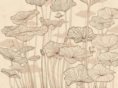 Minimalistic water lilies line drawing beige wall mural