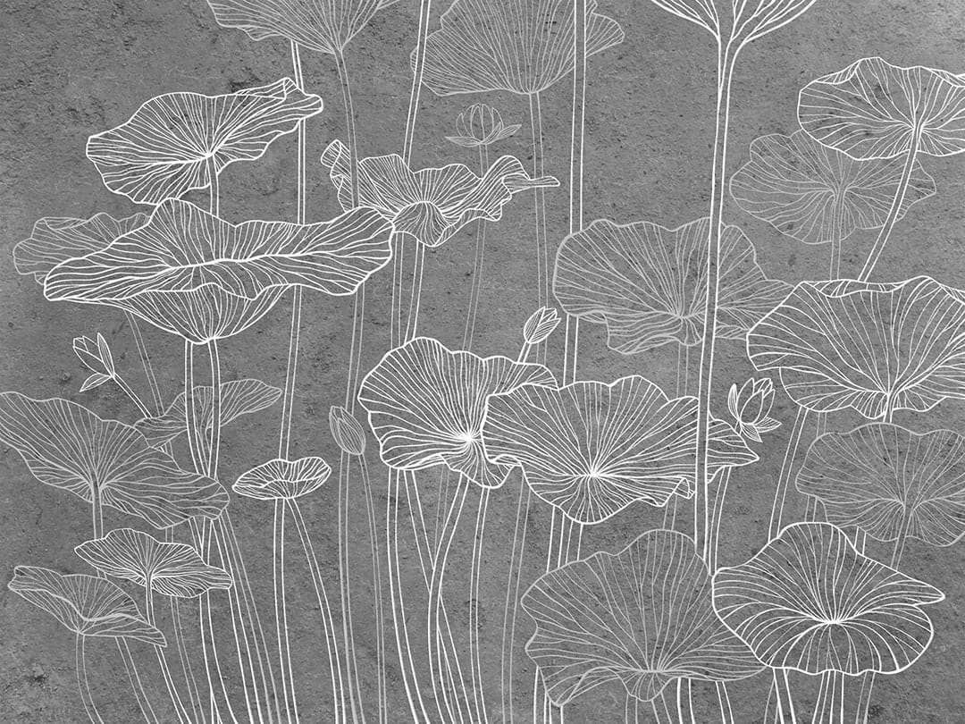 Minimalistic water lilies line drawing gray wall mural
