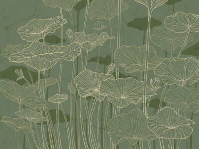 Minimalistic water lilies line drawing green wall mural