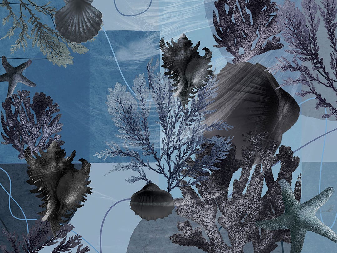 Dark seashell and starfish blue wall mural