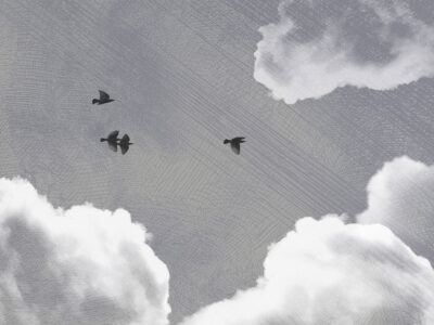 Textured clouds and dark birds on the gray sky wall mural