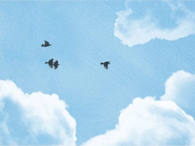 Textured clouds and dark birds on the blue sky wall mural