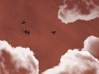Textured clouds and dark birds on the red sky wall mural