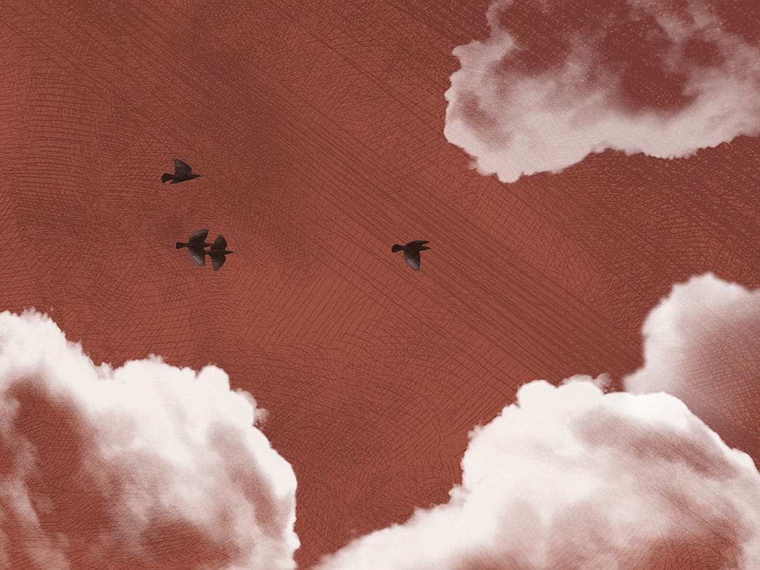 Textured clouds and dark birds on the red sky wall mural