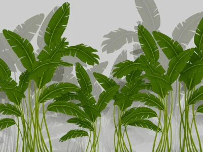 Tropical wall mural with illustrated bright green banana leaf