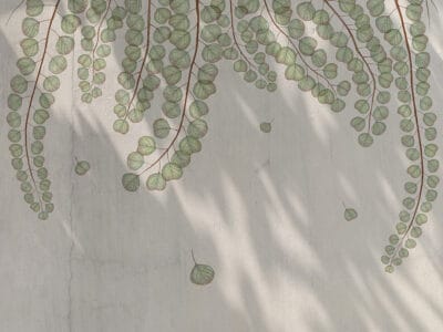 Overhanging botanical branches with sun glares nature wall mural
