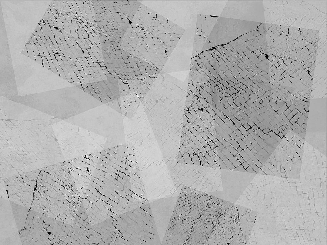 Abstract geometric gray wall mural with animalistic rectangles