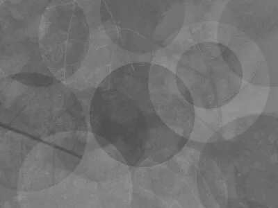 Abstract geometric gray wall mural with the texture of leaves