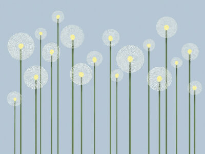 Illustrated minimalistic dandelions on the blue background wall mural