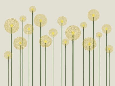 Illustrated minimalistic yellow dandelions wall mural