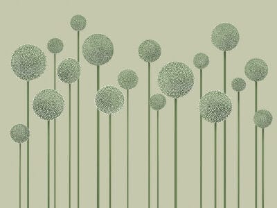 Illustrated minimalistic green dandelions wall mural
