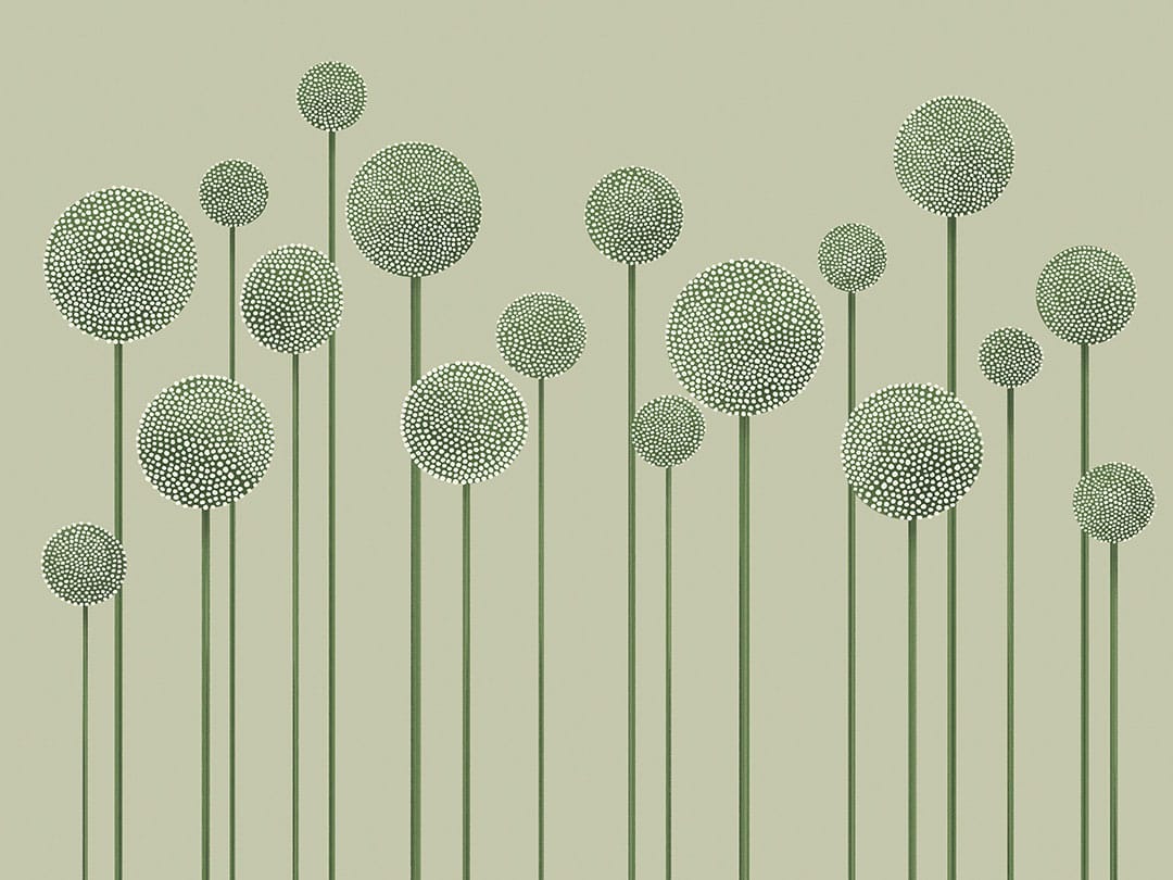 Illustrated minimalistic green dandelions wall mural