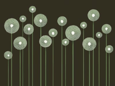 Illustrated minimalistic green dandelions on the dark background wall mural