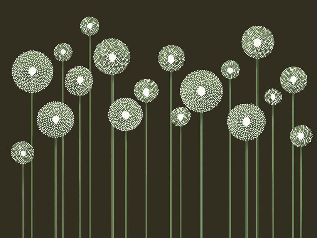 Illustrated minimalistic green dandelions on the dark background wall mural