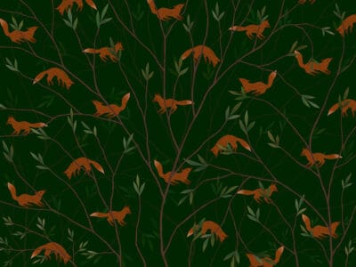 Little foxes on tree branches in dark forest wall mural