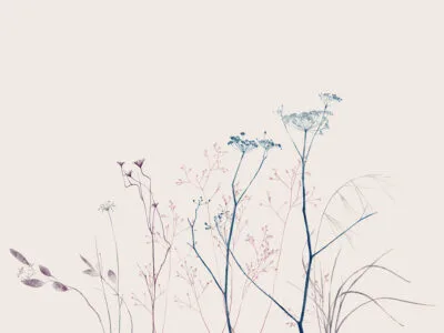 Delicate flower wall mural on a pastel background