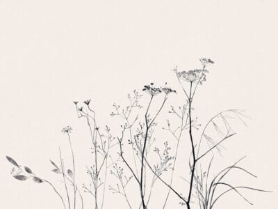 Delicate black flowers on a pastel background wall mural