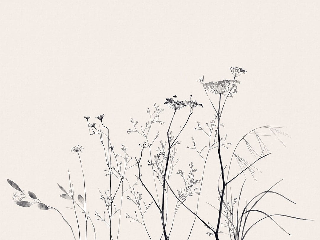 Delicate black flowers on a pastel background wall mural