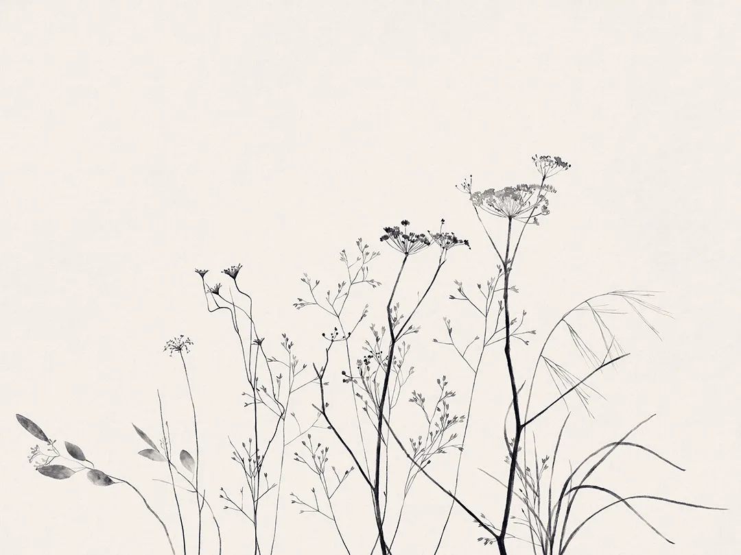Delicate black flowers on a pastel background wall mural