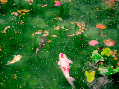 Koi carps on a green background with a blur effect wall mural