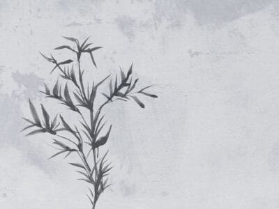 Neutral asymmetrical florals wall mural in Japandi style