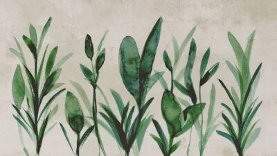 Green watercolor botanicals wall mural