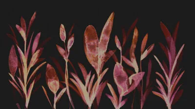 Dark watercolor botanicals wall mural