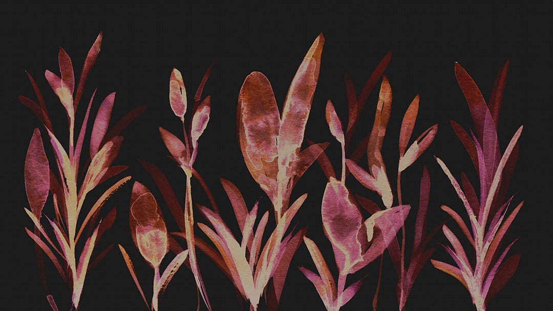 Dark watercolor botanicals wall mural