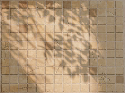 Beige stone tiles with leaf shadows wall mural